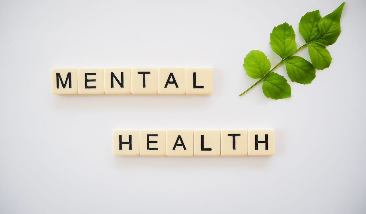 Welcome to WordPress! Scrabble tiles spelling 'Mental Health' with green leaves on a white background.