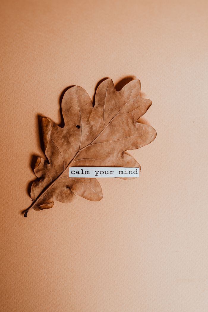 A calming oak leaf on a warm background with the message 'Calm your mind.' Perfect for mindfulness themes.